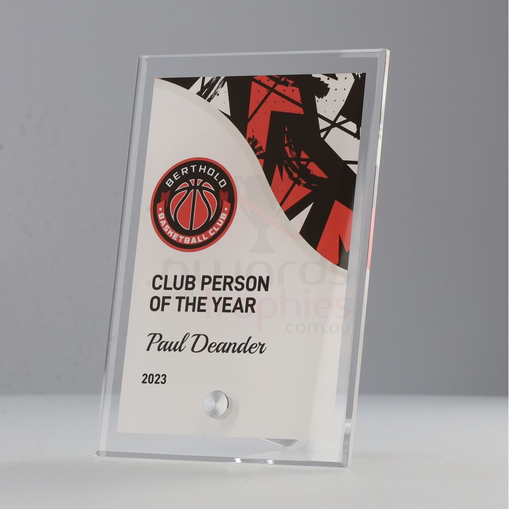 Basketball Team Colours Plaque V4 175mm